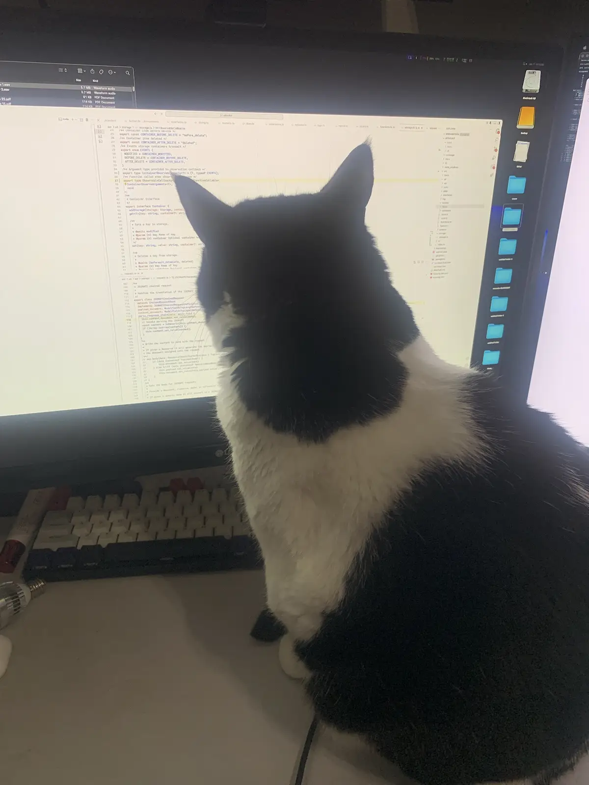A black and white cat sits on a desk in front of a computer monitor displaying TypeScript code, its head turned to look at…
