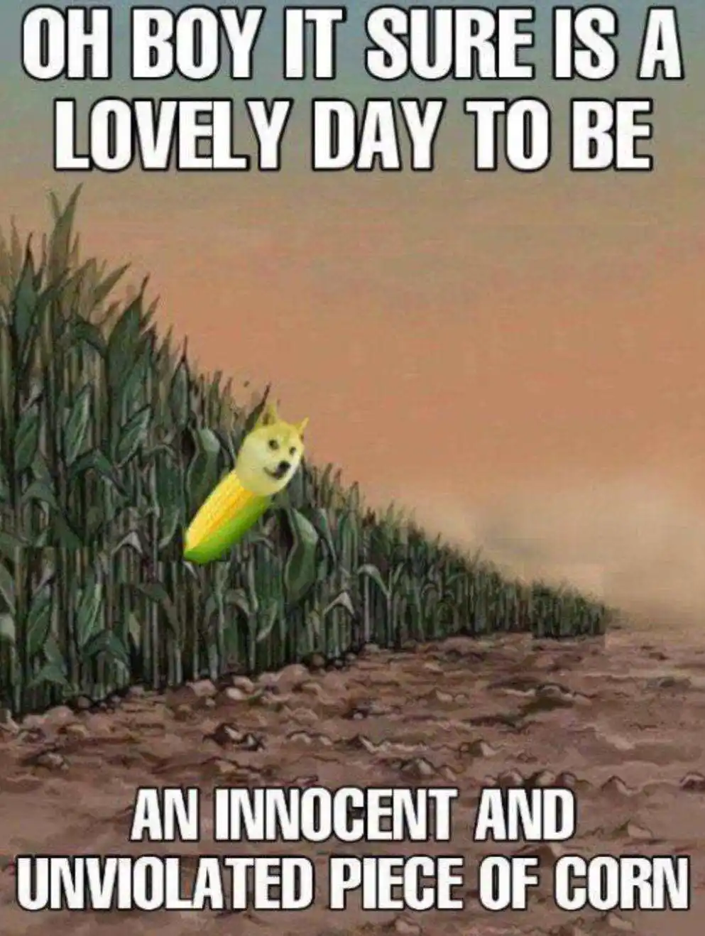 It's a Fantastic Day to Be Corn!