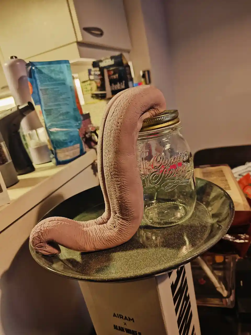 A pale, textured, worm-like prop is draped over the lid of a clear glass mason jar sitting on a green plate. The jar and…