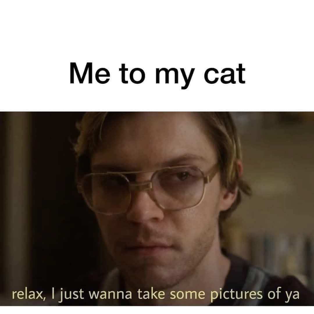 A close-up of a man with glasses looking intensely at the camera, overlaid with the text 'Me to my cat' at the top and…