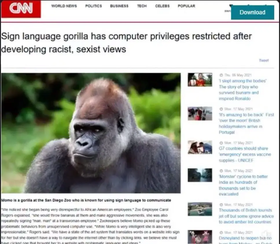 Not Surprised at All: The Ultimate Reaction