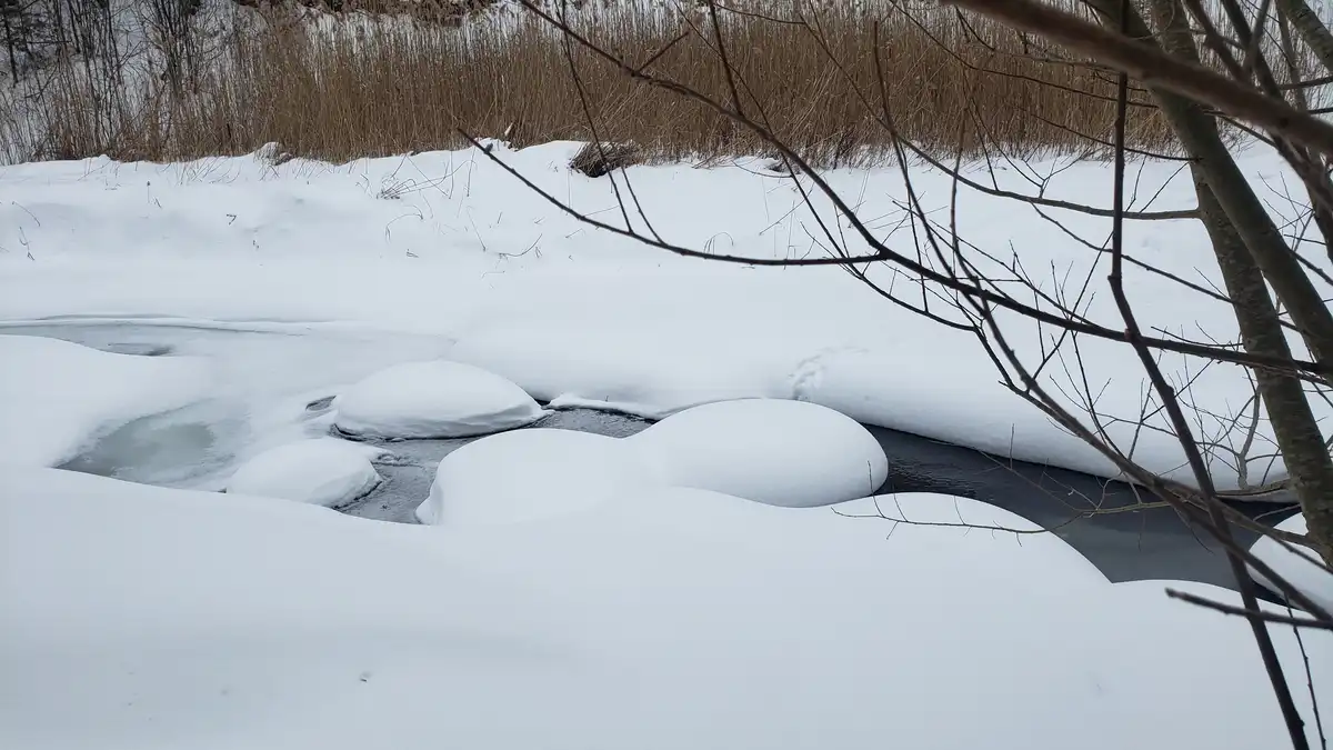 A snowy winter scene shows a partially frozen river with smooth, rounded rocks covered in thick snow, framed by bare tree…