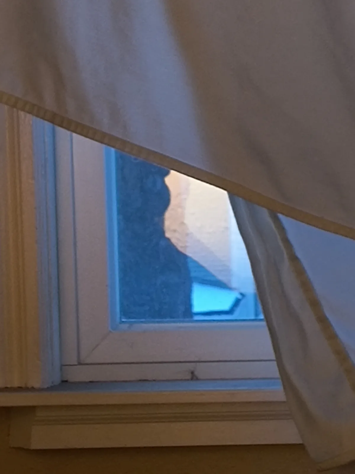 A close-up photo shows a window with white curtains pulled aside, revealing a dark, blurry silhouette of a cat's head and…