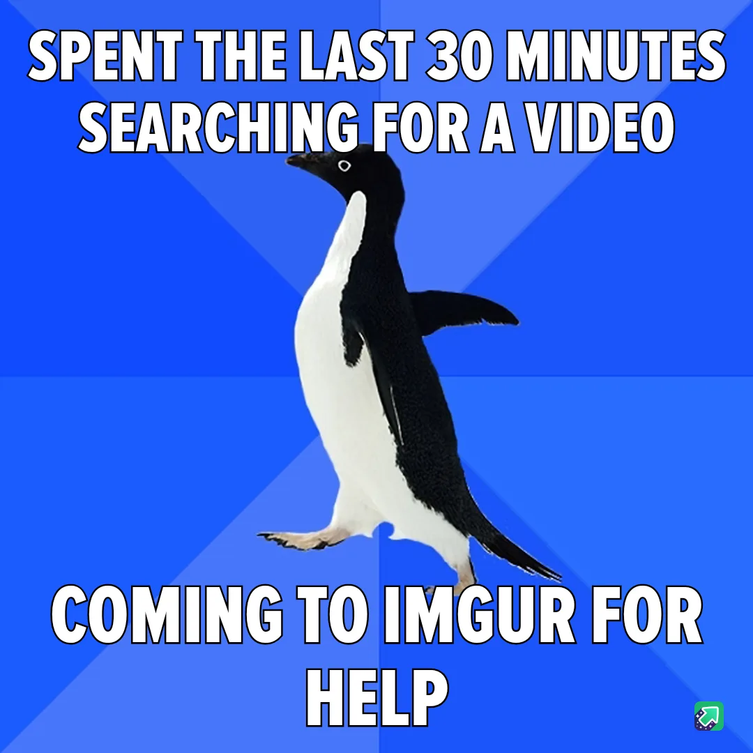 A black-and-white penguin stands against a blue background with diagonal lines, looking slightly confused or exasperated…