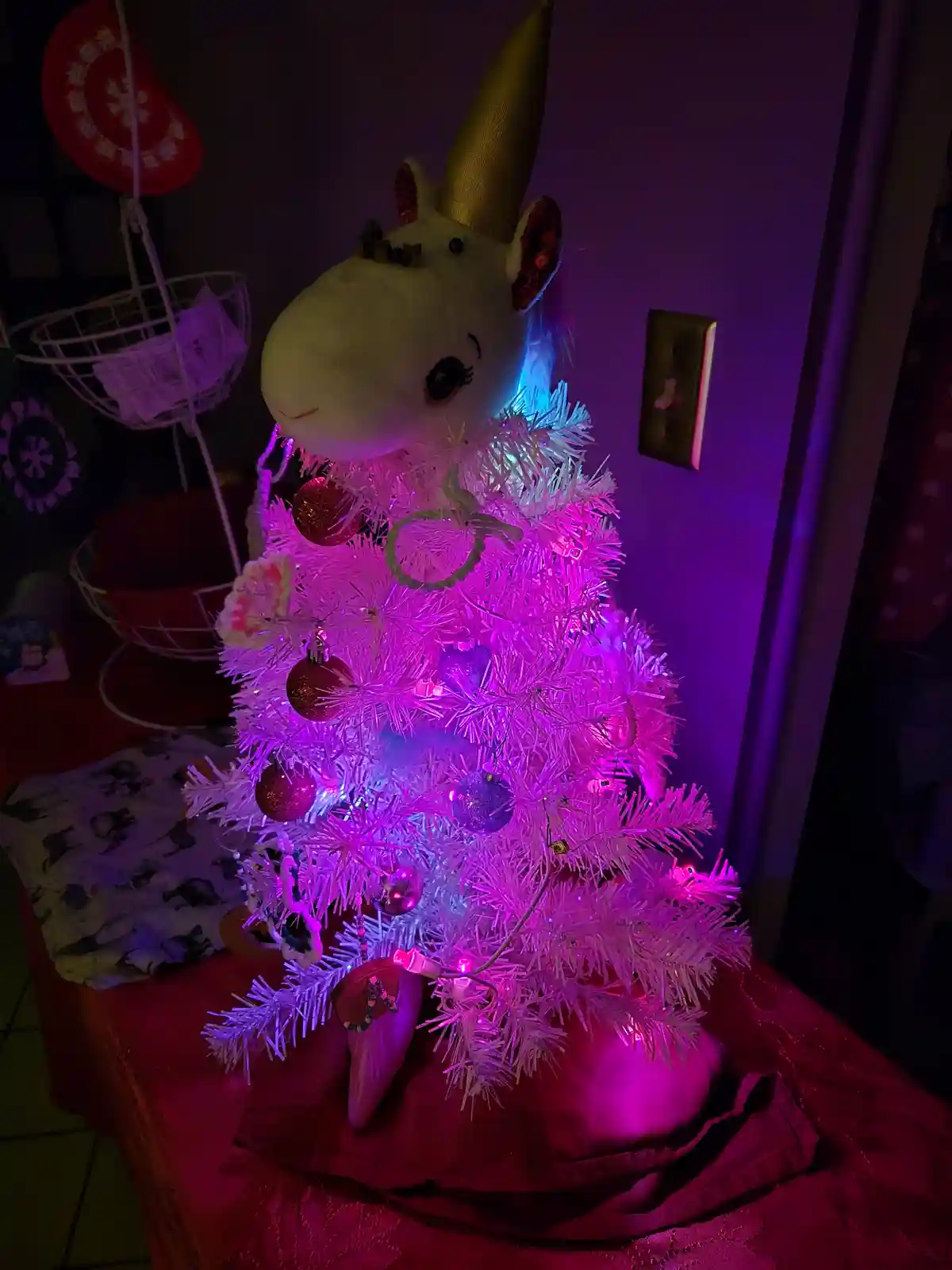 Uni-Cone Tree and Cat Tax: A Pinecone Adventure