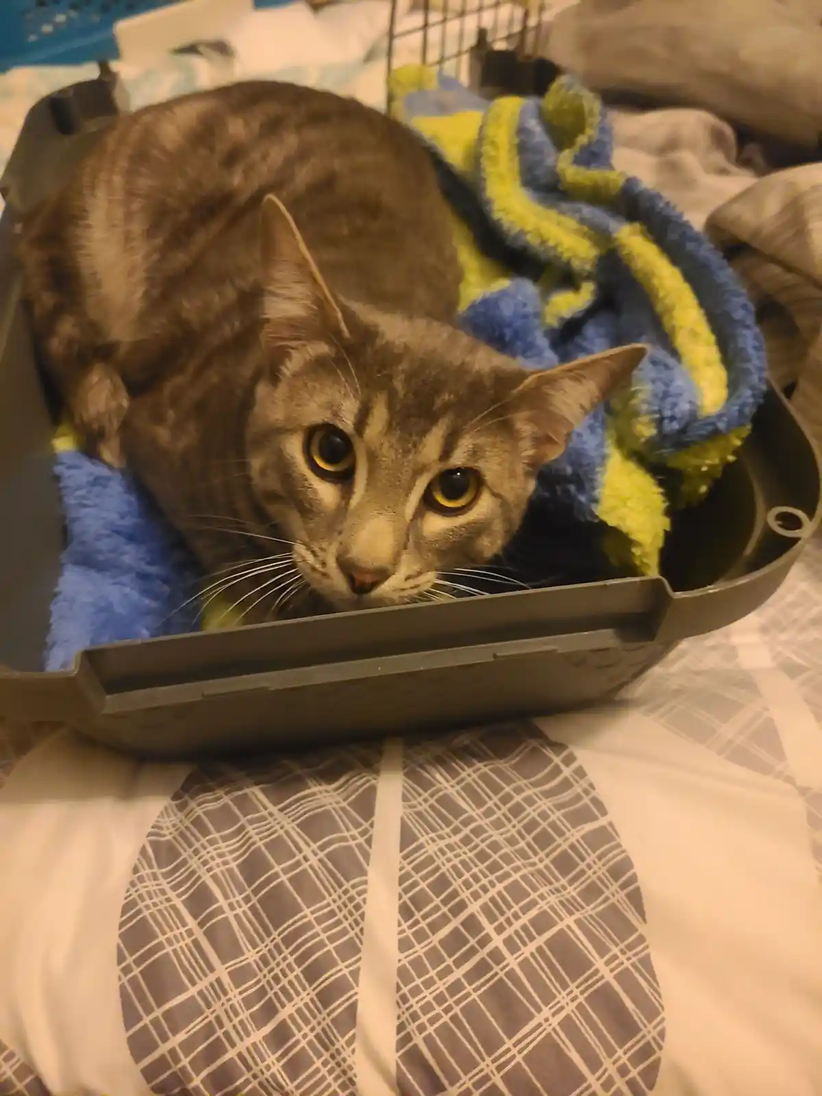Hey Imgur, let me introduce you to Turbo!