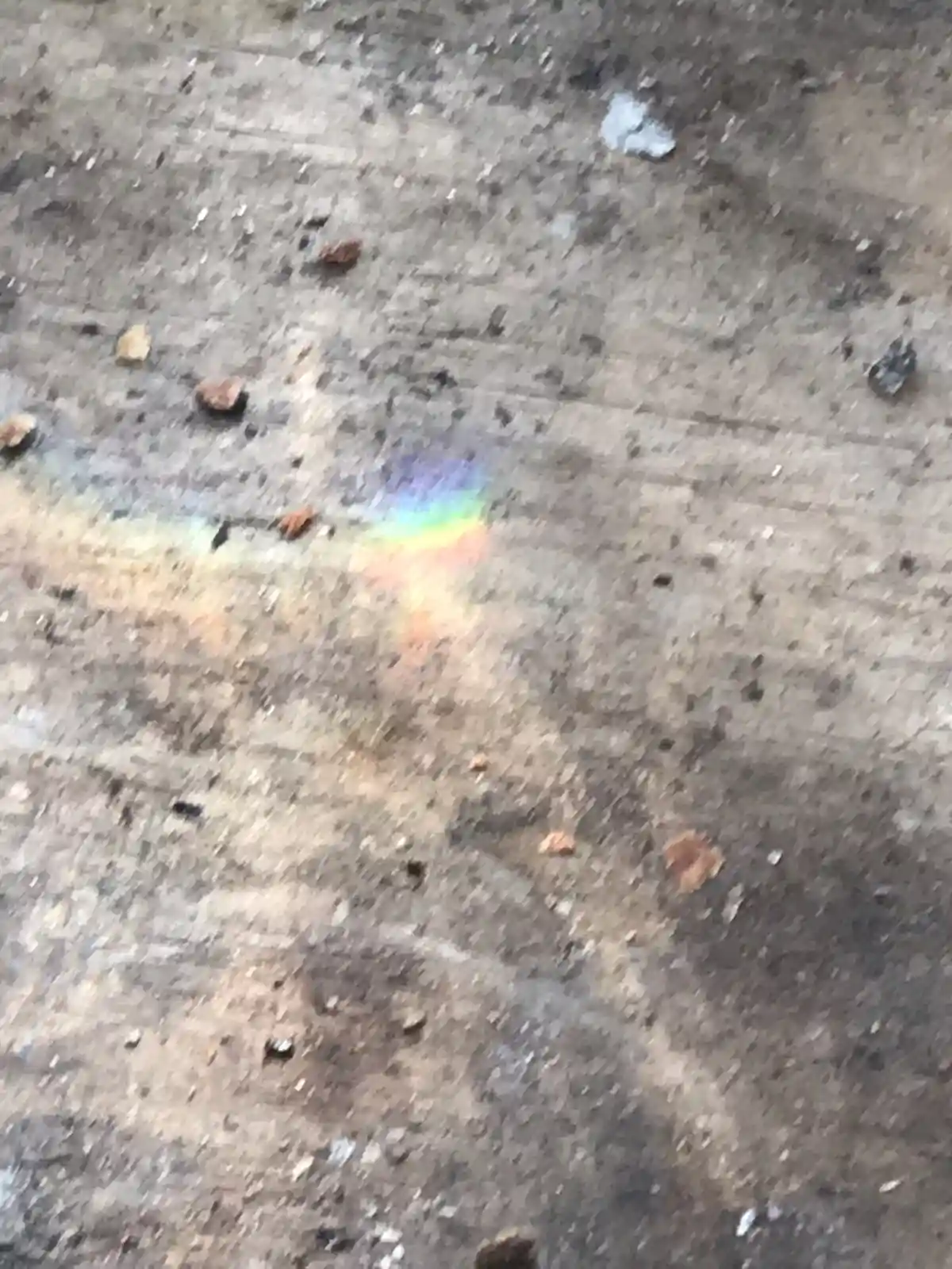 A close-up photo shows a small, blurry rainbow-like spectrum of colors reflected on a dirty, gritty concrete or asphalt…