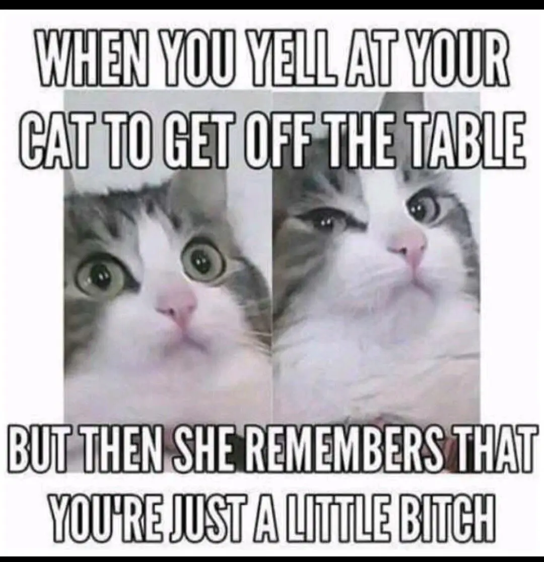 Your Daily Dose of Humor
