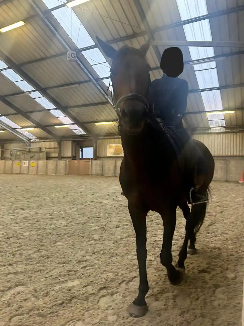 A person in equestrian attire is riding a dark brown horse inside a large indoor riding arena with a sandy floor and metal…