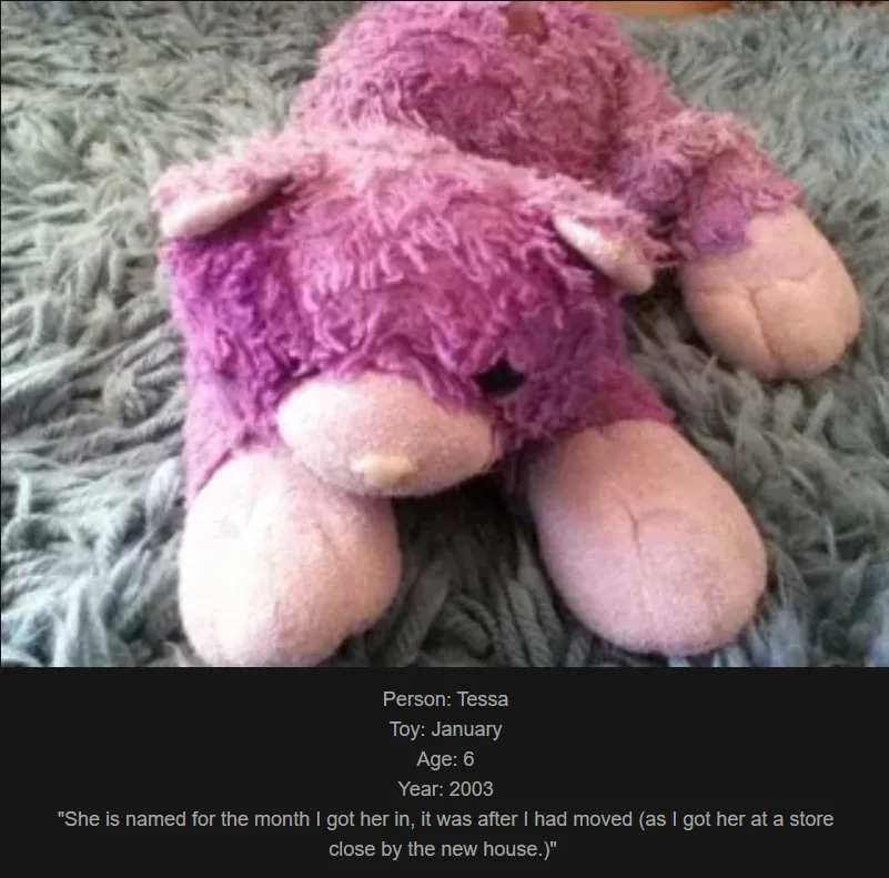 A worn, purple, shaggy stuffed bear lies on a grey shag rug. Text overlaid at the bottom identifies the owner as 'Tessa'…