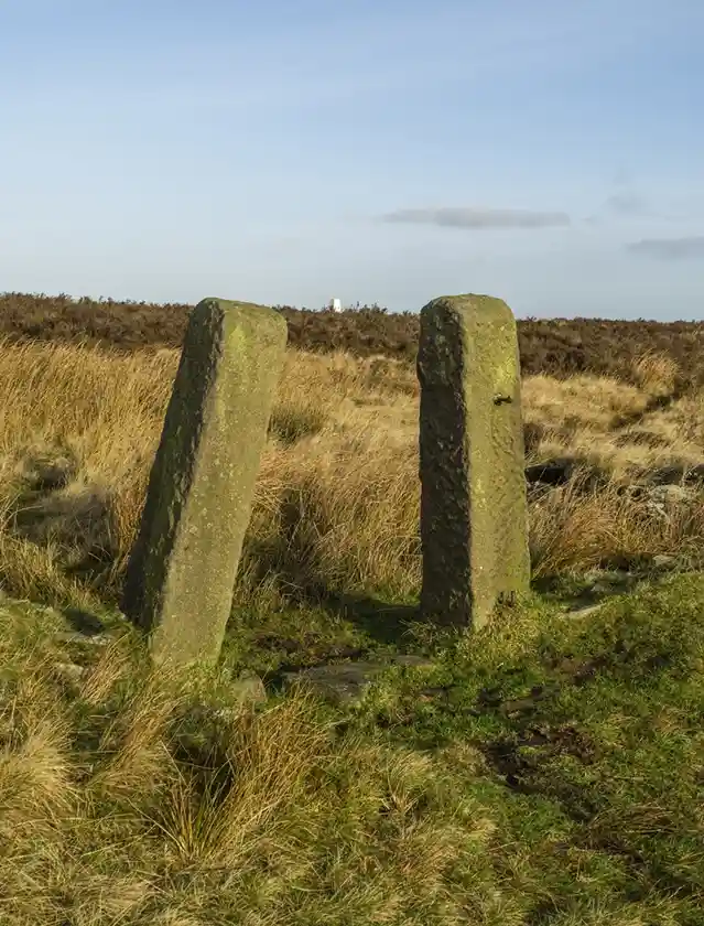 Two moss-covered standing stones stand in a grassy field under a pale blue sky, one leaning slightly. Overlaid text reads…