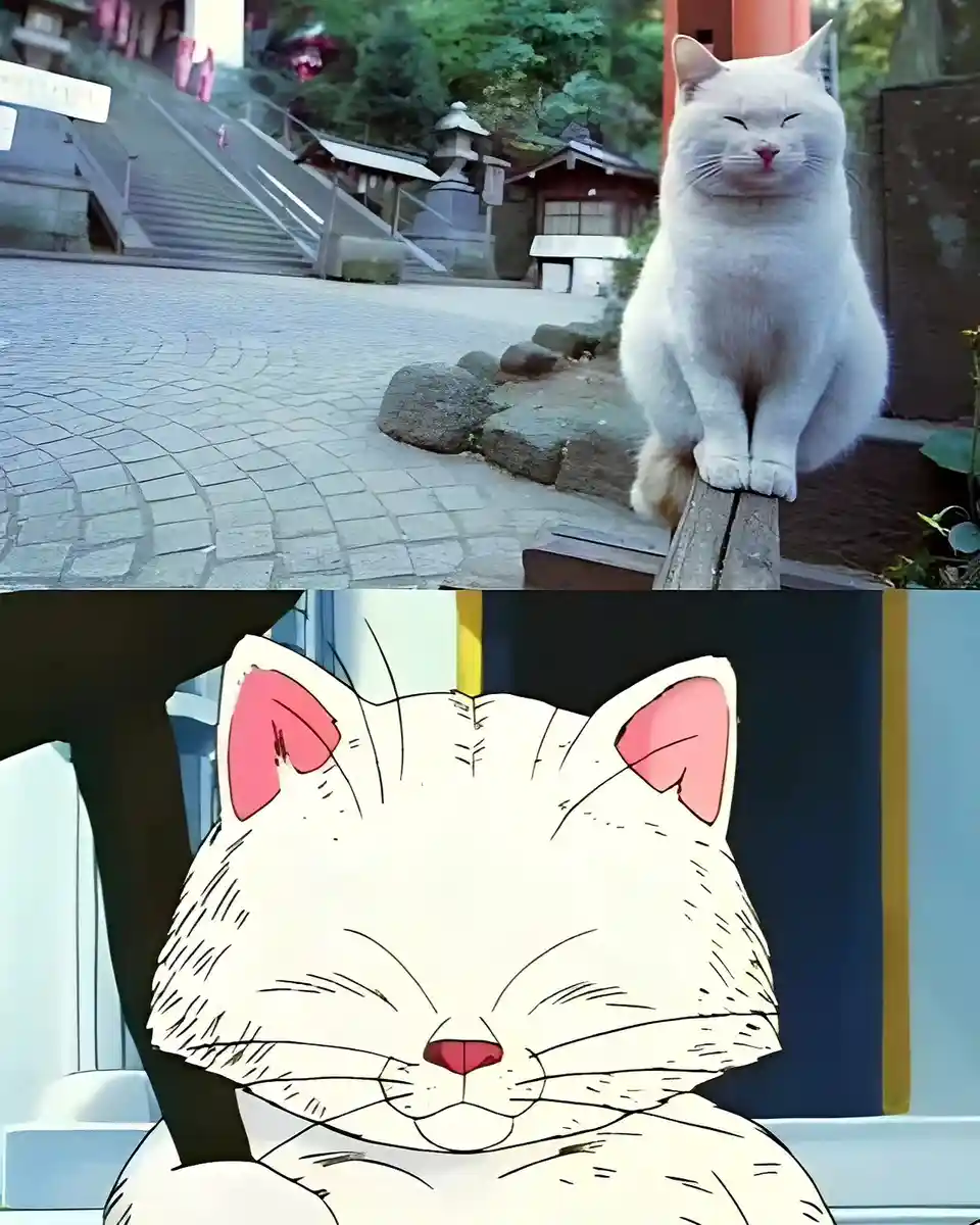 Introducing Master Korin: The Legend Continues!