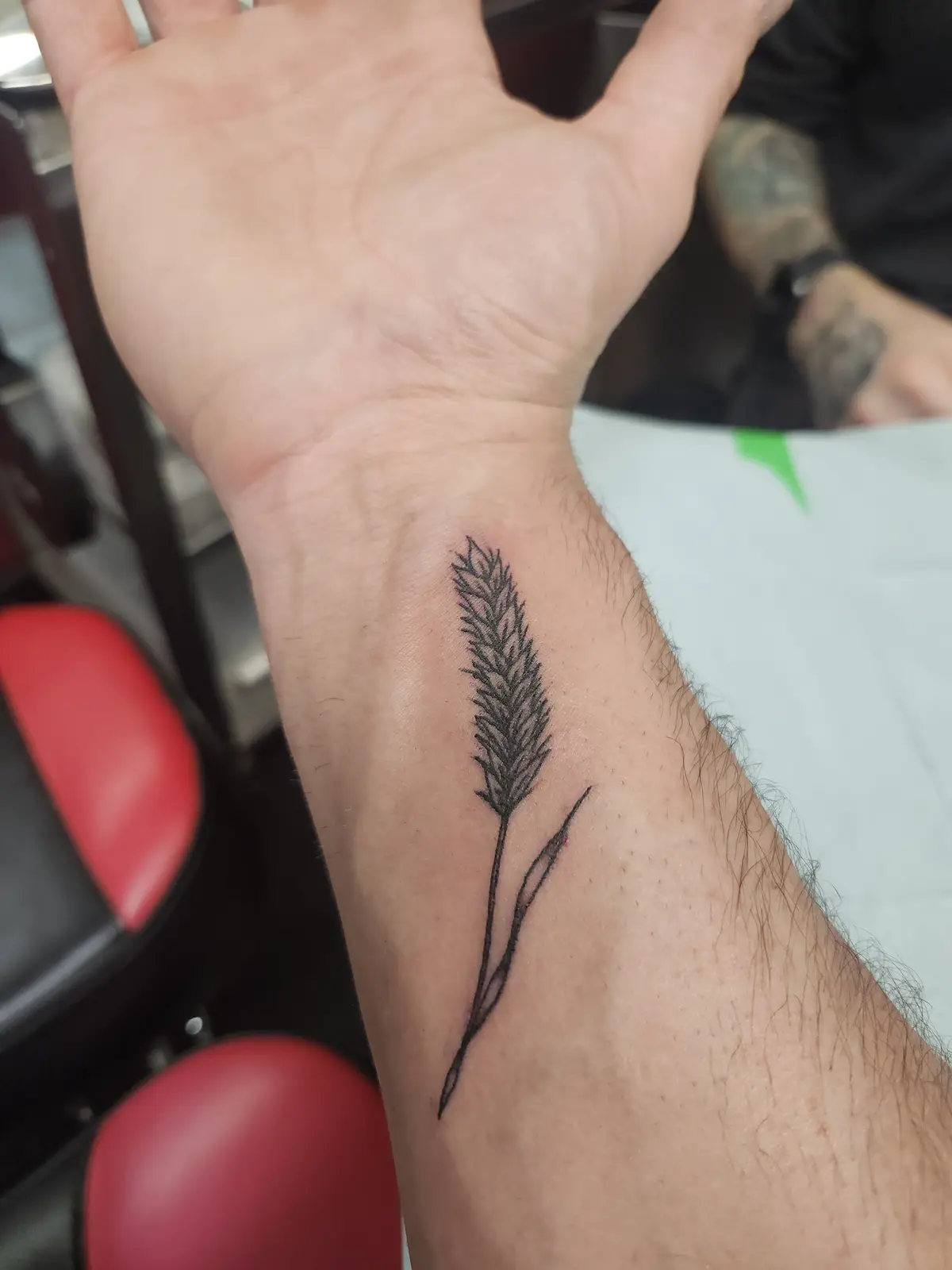 A close-up photo shows a freshly inked black tattoo of a grass-like plant on the inner wrist of a person's arm. The tattoo…