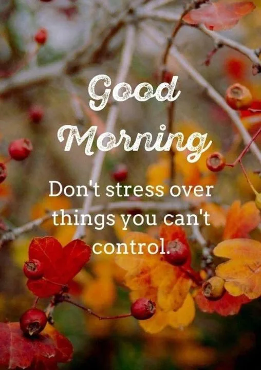 An autumn-themed image with red and orange leaves and small berries on branches, overlaid with white text that reads 'Good…