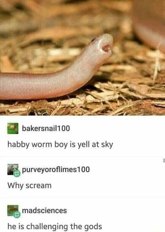 A close-up photo of a pale, worm-like creature with a small mouth open, lying on dry mulch. Overlaid text mimics a social…