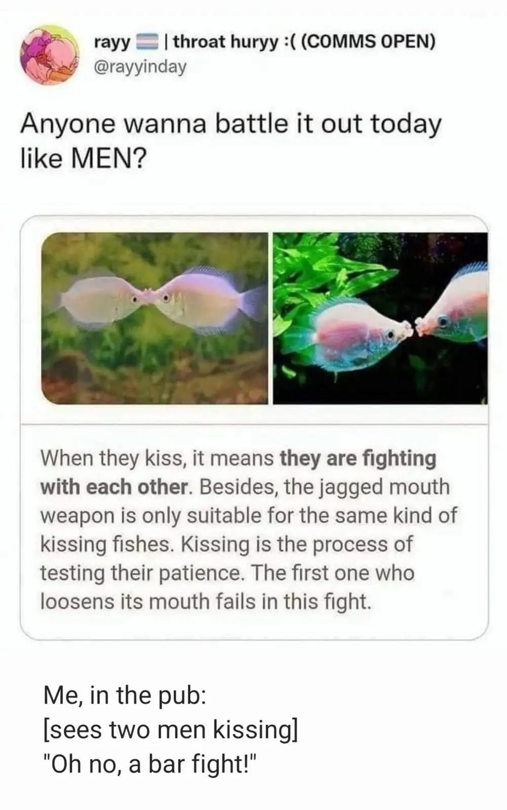 What Are We Even Doing Here, Bro!?