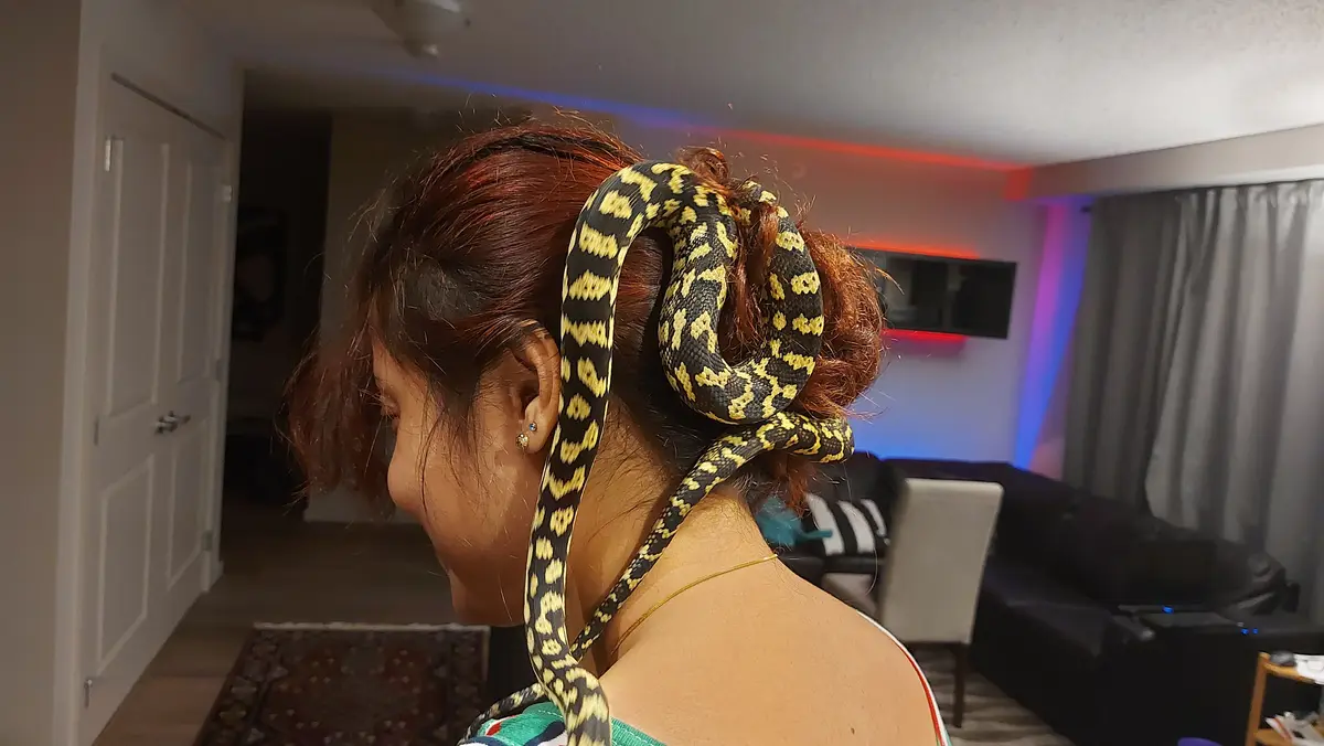 A person with reddish-brown hair in a bun has a black and yellow patterned snake coiled around their head and neck, with a…