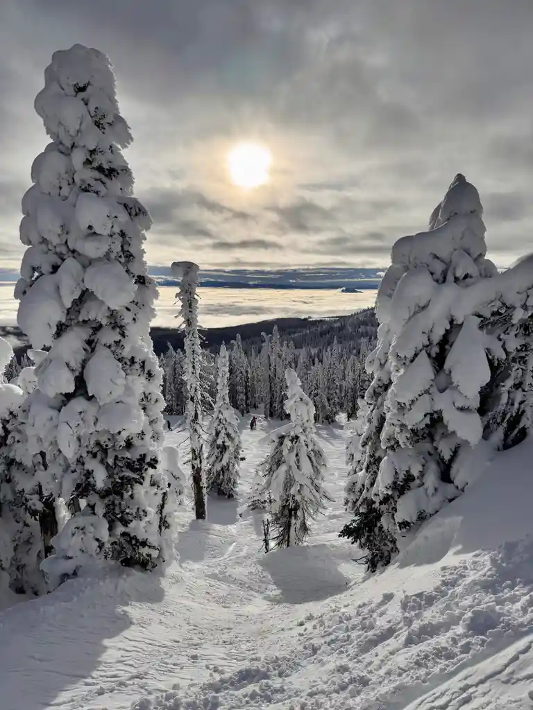 A breathtaking snowy mountain scene with snow-laden evergreen trees framing a path, the sun shining brightly through a…