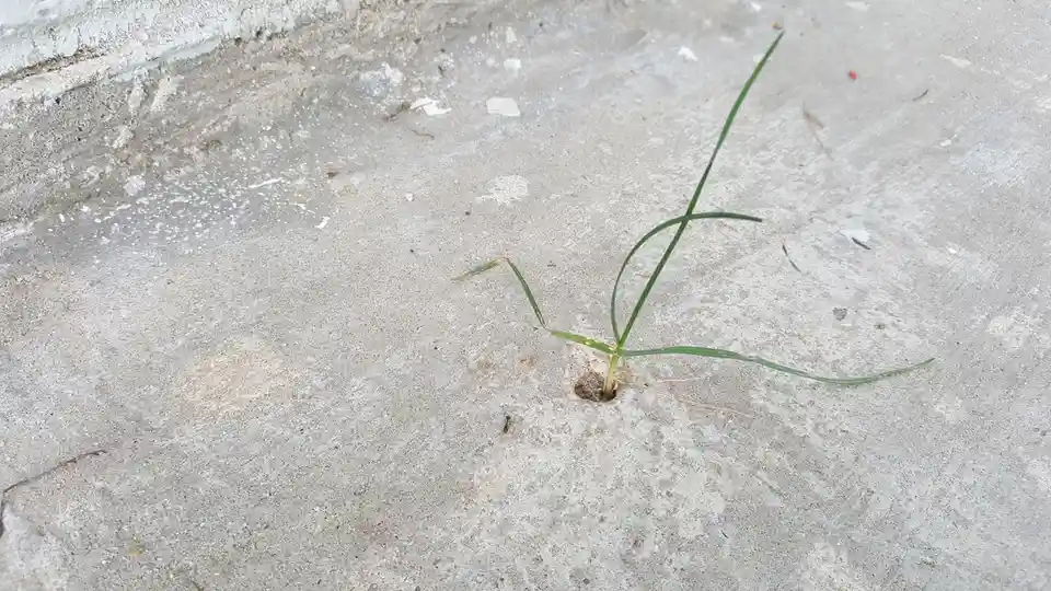 These are some random shots, of things that I see around the New Orleans area, that I think might be Imgur worthy.