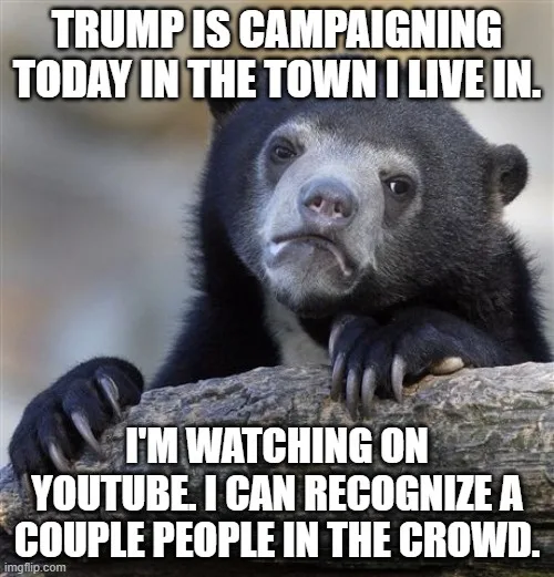 A black bear with a bored, unimpressed expression rests its paws on a log. White text overlaid in two blocks reads: 'TRUMP…