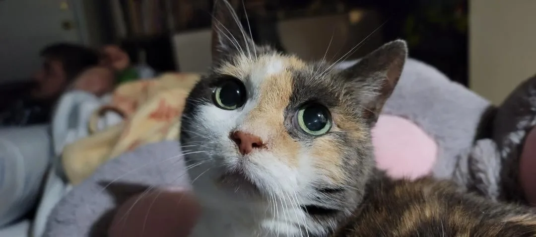 Just take a moment to admire this adorable baby!