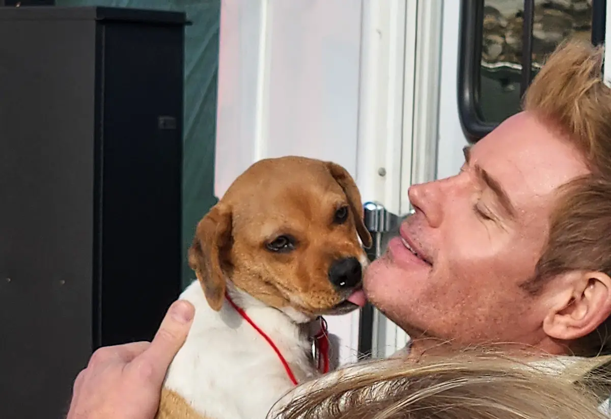 Puppy Kisses: The Ultimate Happiness Boost