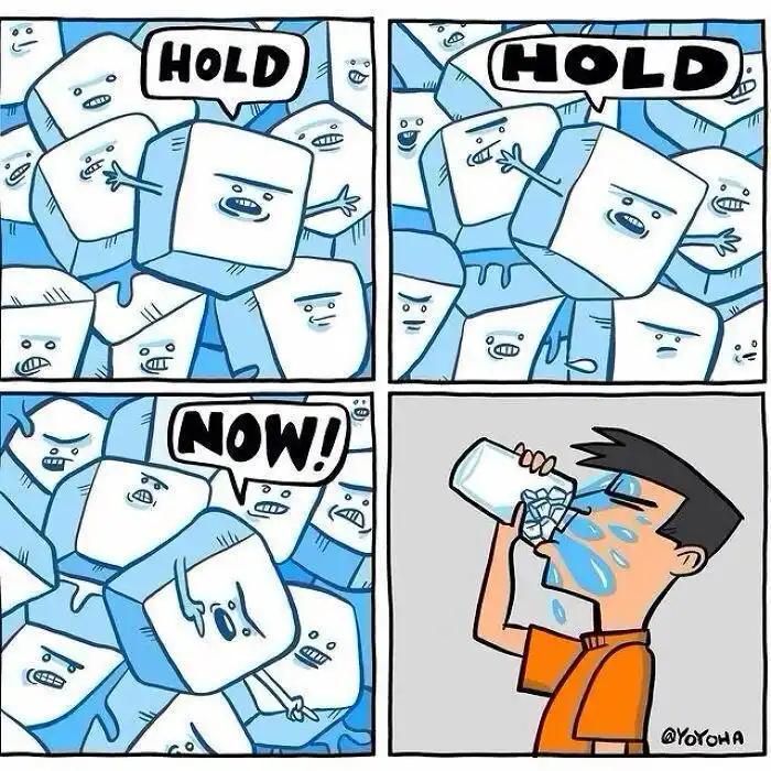 A four-panel comic shows cartoon ice cubes with angry faces shouting 'HOLD' in the first two panels, then 'NOW!' in the…