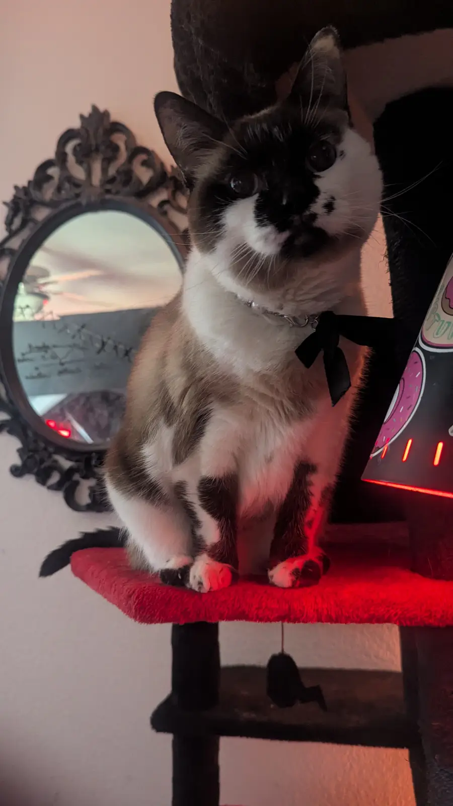 16 Years Young and Still Stunning
