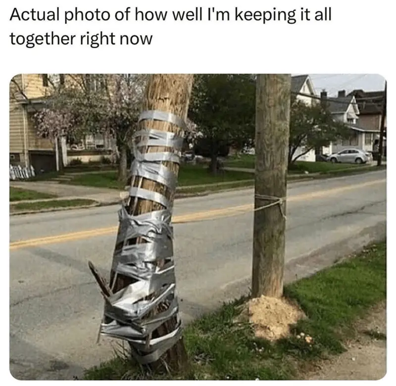 A tree trunk is visibly wrapped in multiple layers of silver duct tape, held together with a makeshift bandage, next to a…
