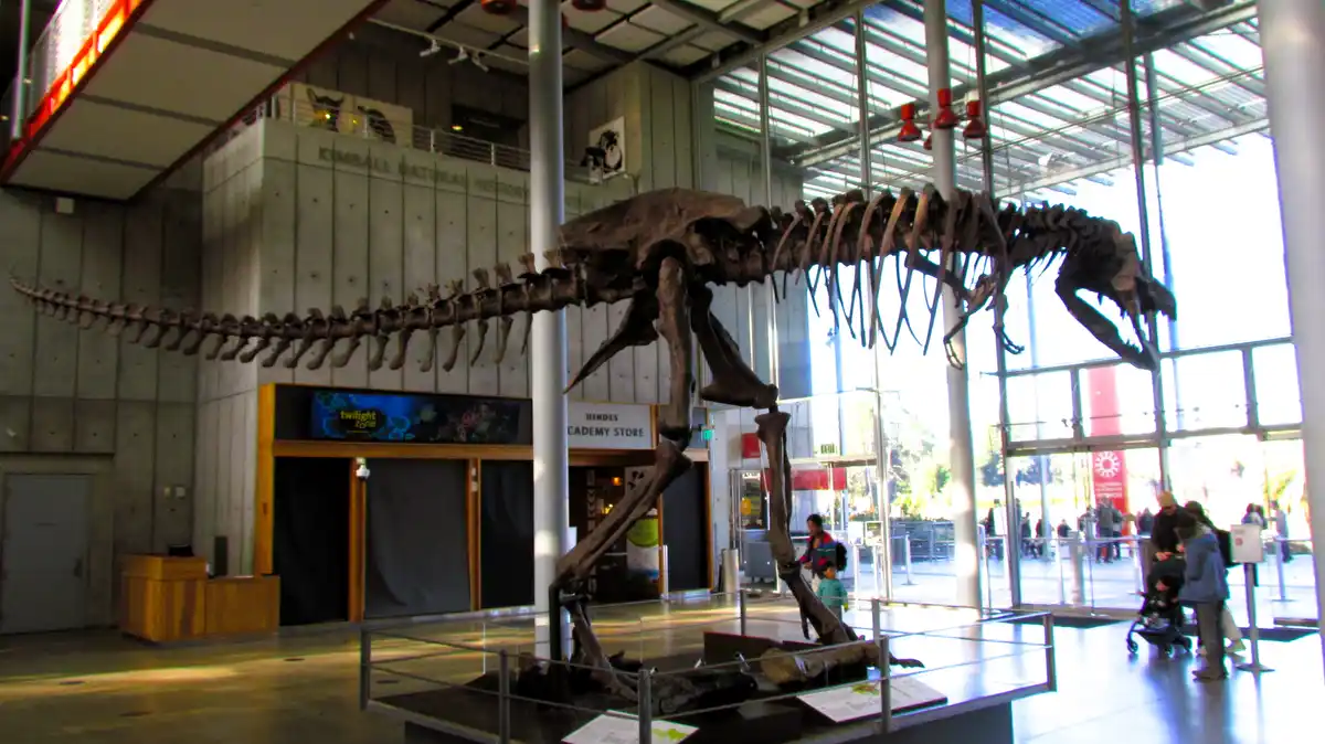 A large, mounted skeleton of a prehistoric mammal, likely a ground sloth, is displayed in a museum hall with visitors and…