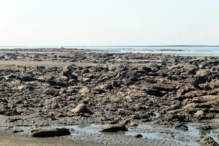 A wide shot of a muddy, rocky tidal flat with shallow water pools under a bright sky. Overlaid text reads 'i'm not lazy, i'm…