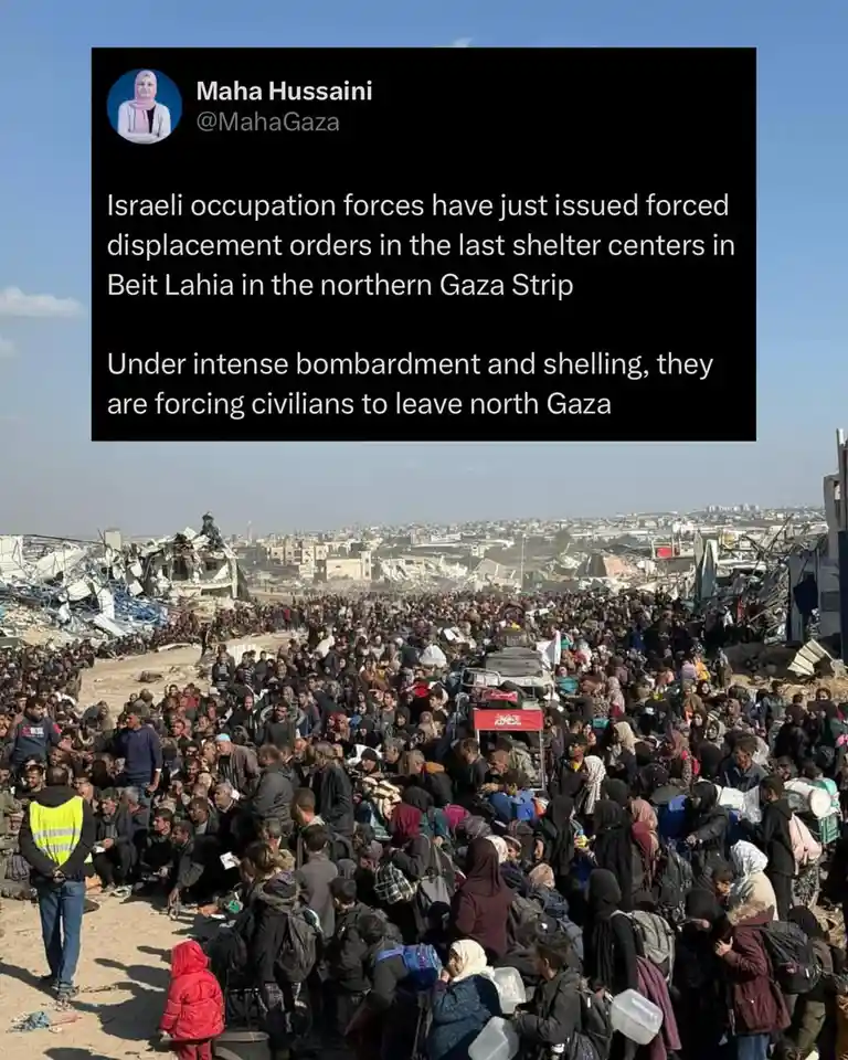 A screenshot of a tweet by Maha Hussaini (@MahaGaza) overlaid on a photo showing a massive crowd of displaced civilians in a…