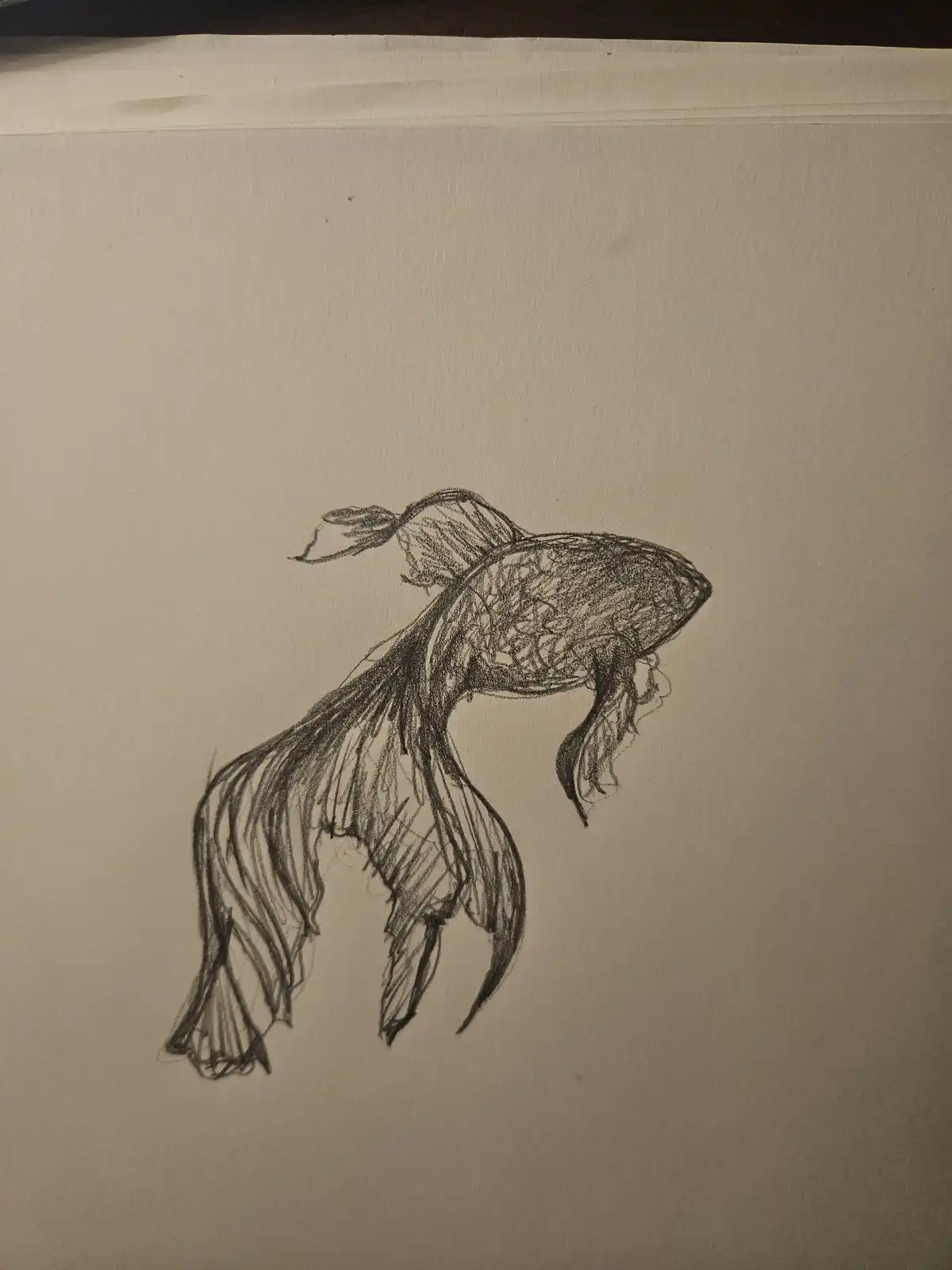 A pencil sketch on textured paper depicts a fish with elaborate, flowing fins and a detailed body, rendered in shades of…