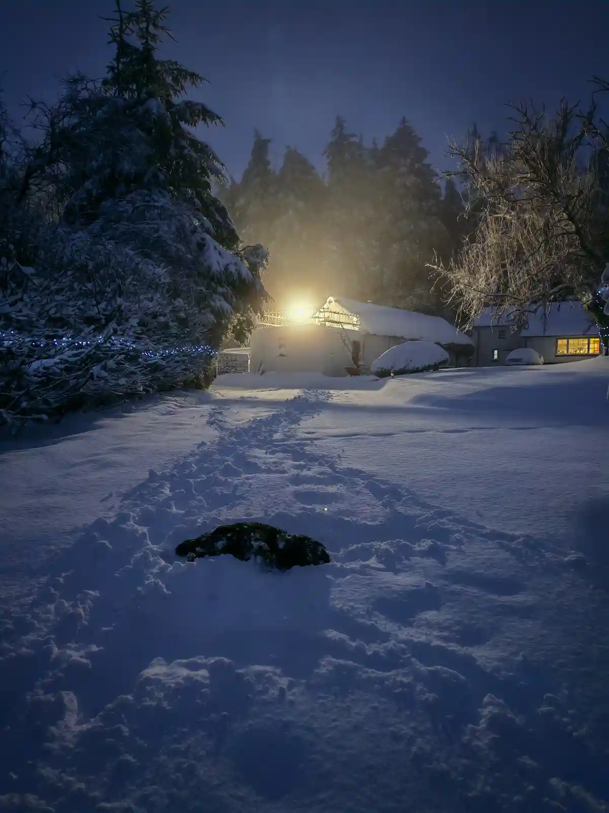 Embracing the Snow: A Magical Day in Ireland