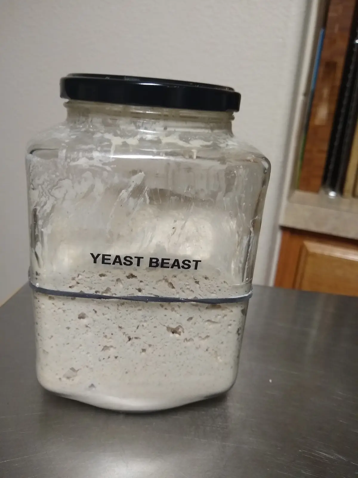 A glass jar with a black lid sits on a metal countertop, filled with a bubbly, frothy white substance that appears to be…