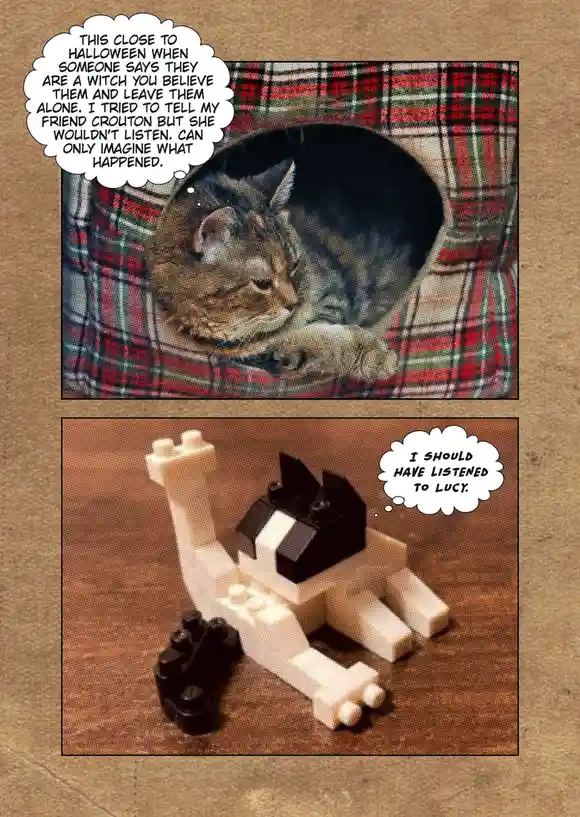 The image is a two-panel comic. The top panel shows a sleeping tabby cat in a red, green, and white plaid cat bed, with a…