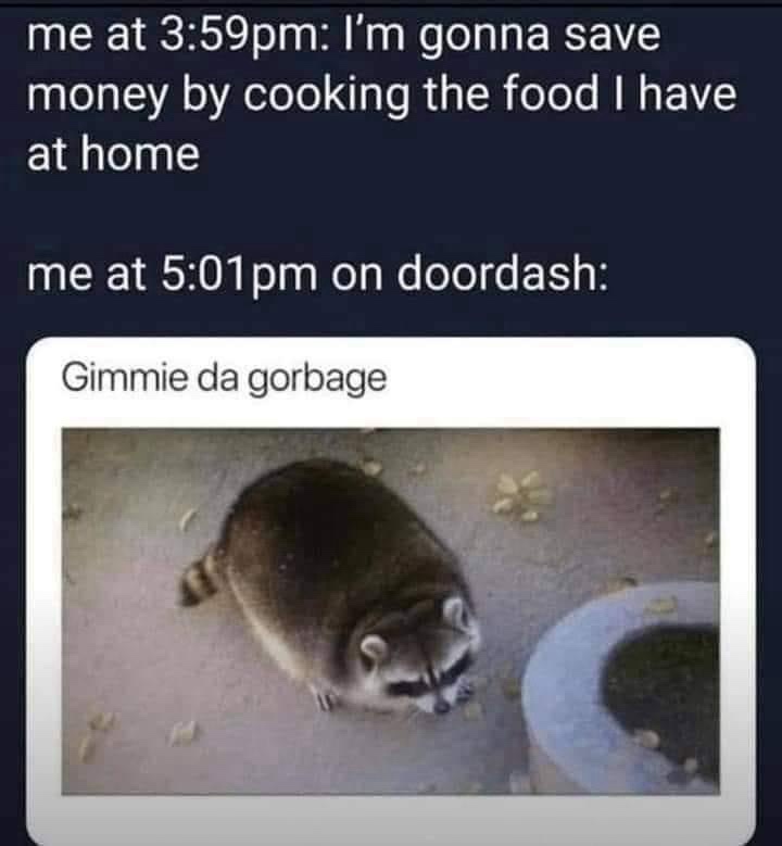 The image shows a raccoon looking at a trash can filled with food scraps, with the overlaid text describing a person's plan…