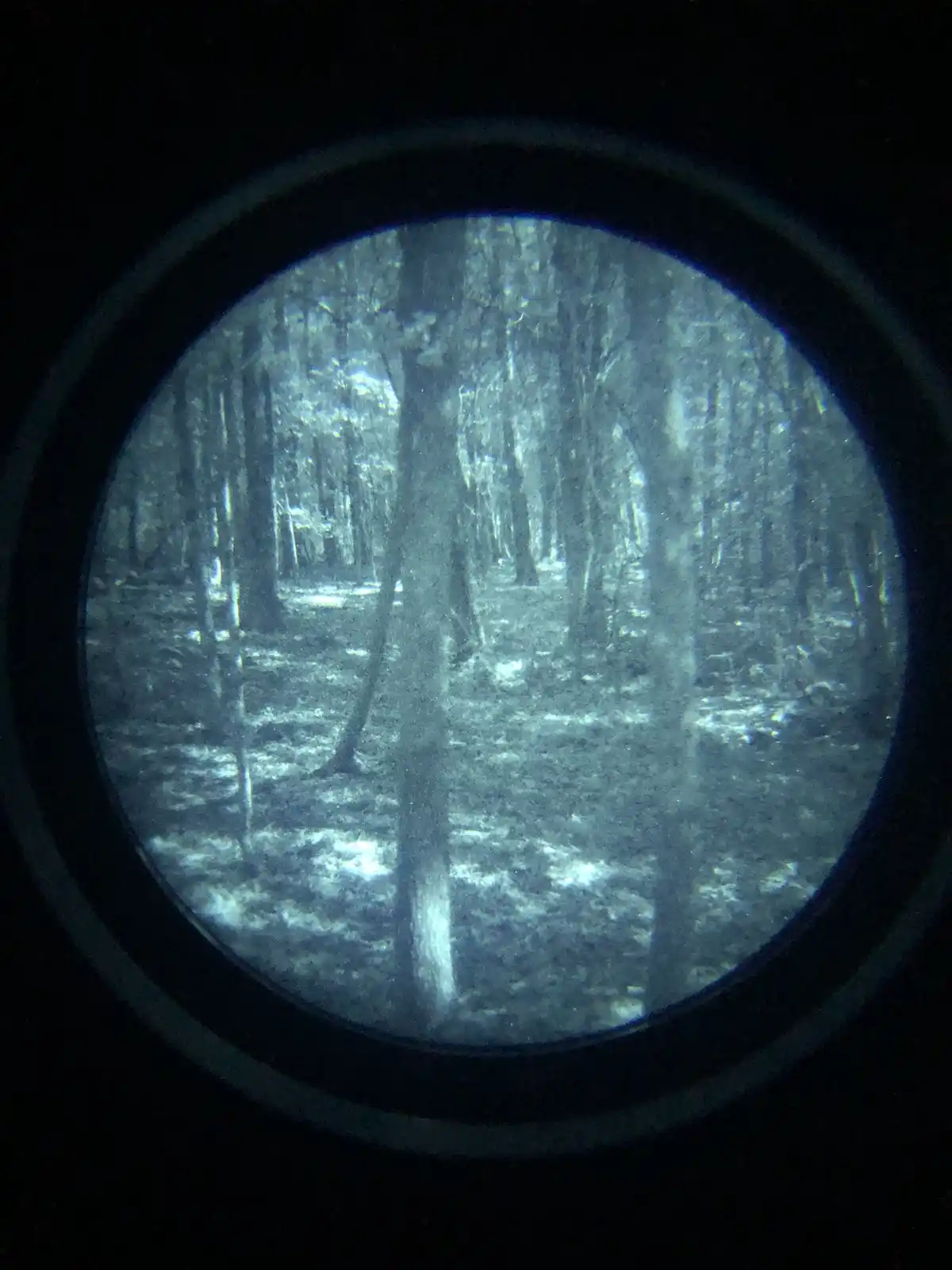 A circular night-vision viewfinder shows a dense forest with tree trunks and underbrush in monochrome blue-green tones. The…