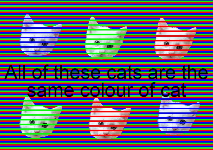 Confetti Illusion: Cat Edition Unleashed!
