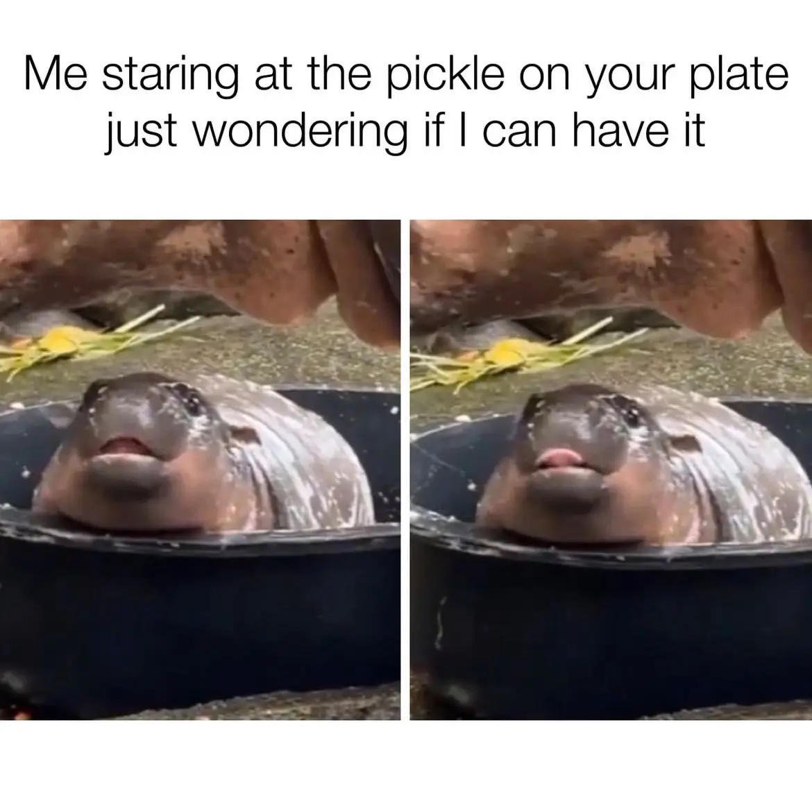 A Simple Request: Please?