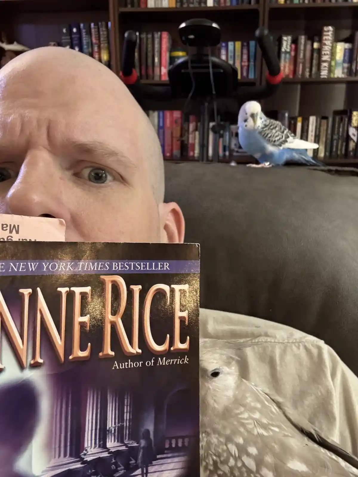A bald man holds a book by Anne Rice titled 'The New York Times Bestseller' in front of his face, obscuring most of it. A…