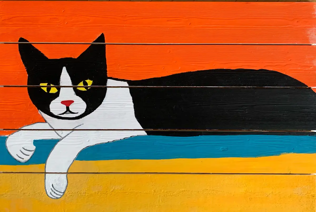 A painted black and white cat with yellow eyes lounges on a colorful wooden surface, its front paws dangling over a blue…
