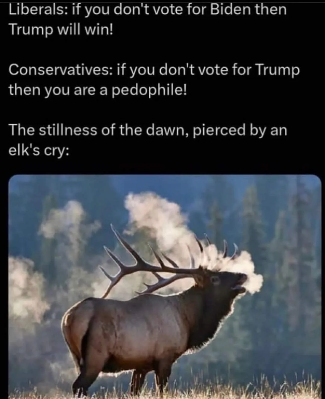 The image shows a large elk standing in a grassy field with trees in the background, its head tilted back and mouth open as…