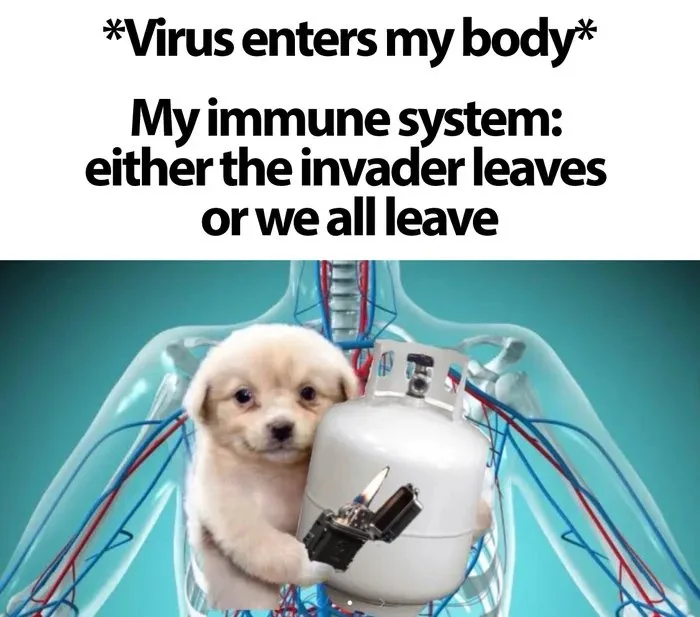 A small, fluffy white puppy is digitally placed inside a transparent human torso diagram, holding a white propane tank with…
