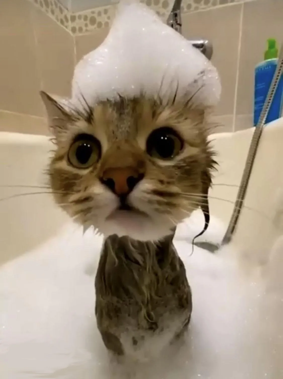 The Wonders of Soapy Surfaces
