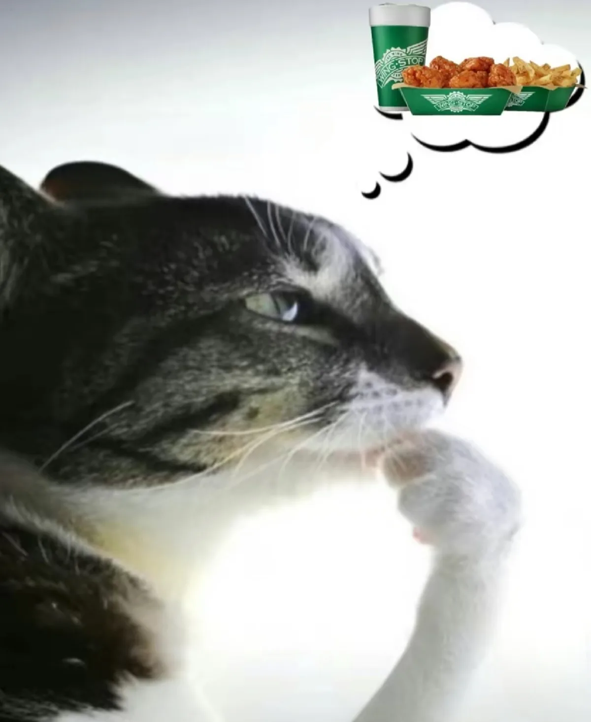 A close-up of a gray and white cat in profile, looking thoughtful with its paw raised to its chin. Above its head is a…