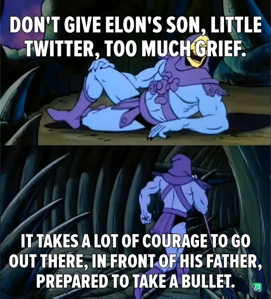 The image is a two-panel meme featuring the animated character Skeletor from 'He-Man and the Masters of the Universe'. In…