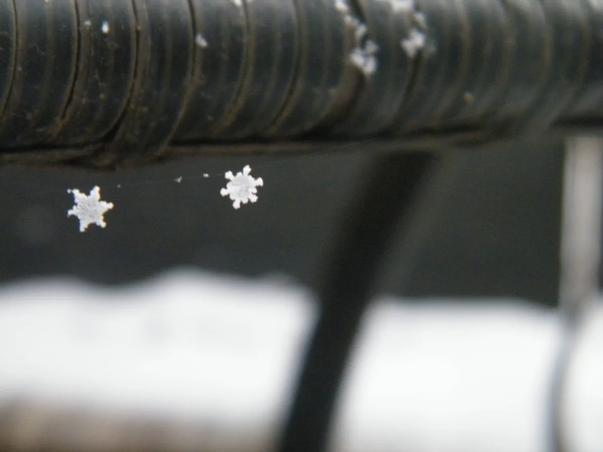 A close-up photo shows two distinct, intricate snowflakes resting on a dark, textured surface, with a blurred background of…