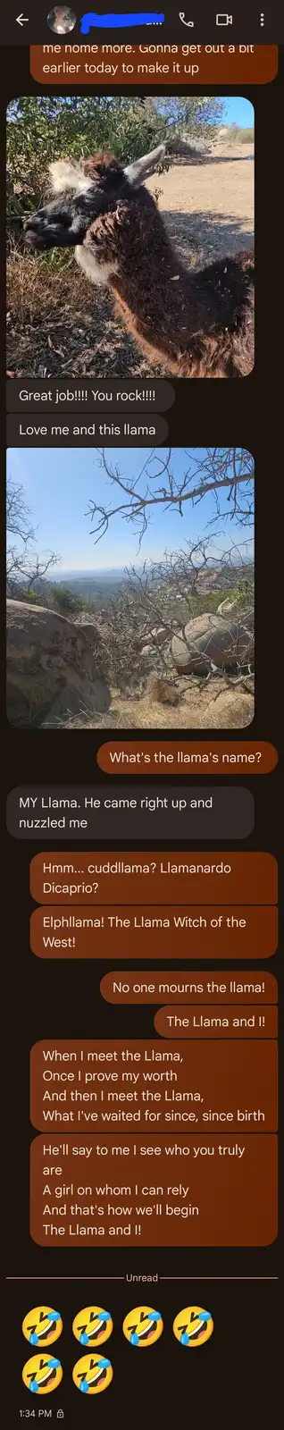 A screenshot of a text conversation where one person shares photos of a llama and expresses affection for it, leading to…