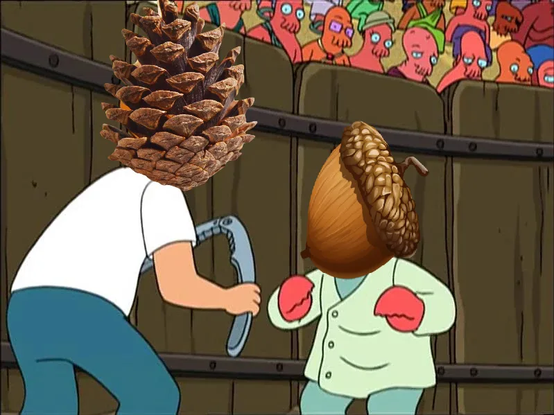 Two cartoon characters with tree parts for heads—a large pinecone and an acorn—are in a wooden arena. The pinecone-headed…
